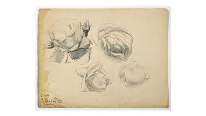 null Paul CHMAROFF (1874-1950) Etude de fleurs Fusain sur papier, annotations, mouillure...