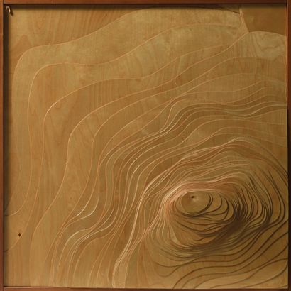 null Lucien BENIERE (1922-2012) Sans titre Composition en relief en bois clair. 69...