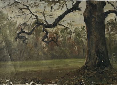 null Lauritz HOWE (1869-1945) Landscape with a tree Oil on canvas, signed lower right...