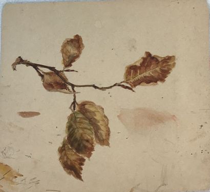 null Lauritz HOWE (1869-1945) Etude de feuilles Aquarelle 16x14,5cm