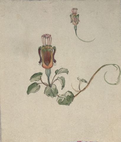 null Lauritz HOWE (1869-1945) Etude de fleurs Aquarelle 17x14,5cm