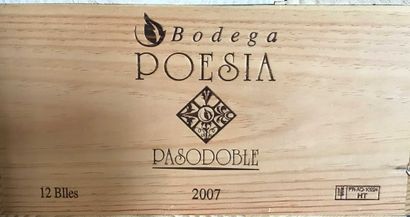 null 12 bout : Bodega Poesia PASODOBLE 2007, Mendoza Argentin en caisse bois Arg...