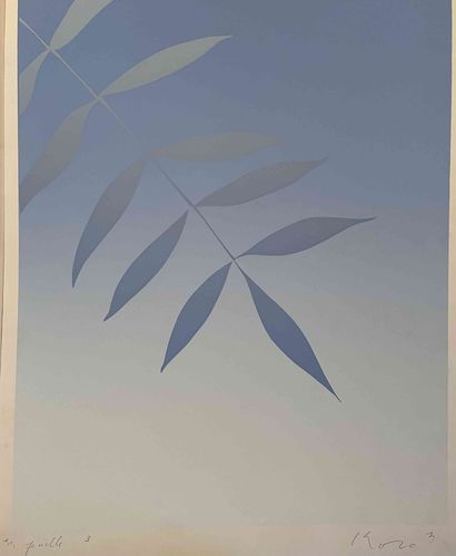 null Kozo INOUE (1937 2017) Leaf, 1973 Silkscreen in color. Signed and dated 73 ,...