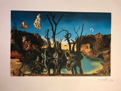 null Salvador DALI (1904 1989) Swan reflecting in elephant Lithograph in colors....