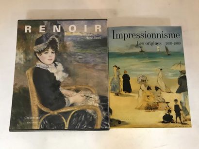  ART 2 volumes Impressionist Painting, Renoir