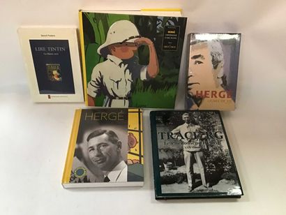 null ART 5 volumes Comics, works on Tintin and Hergé
