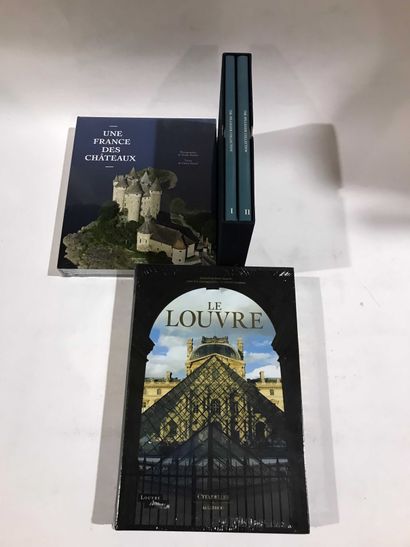 ART 4 volumes Château de France, The Louvre,...