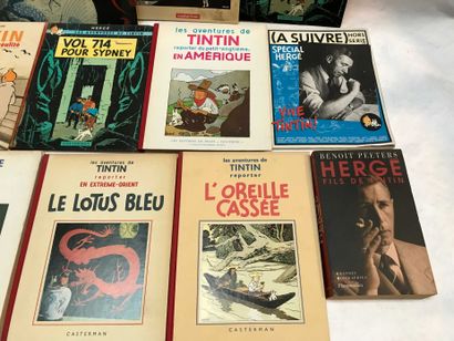 null BANDES DESSINEES - 12 volumes Tintin et Hergé