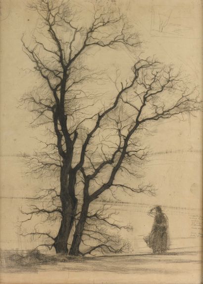 null 151 Jules Emile ZINGG (1882-1942) Large Tree Charcoal. 61 x 45 cm