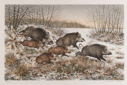 null 
Francis BÉRILLE (Born in 1945) Company of wild boars Lithograph in color. Signed,...