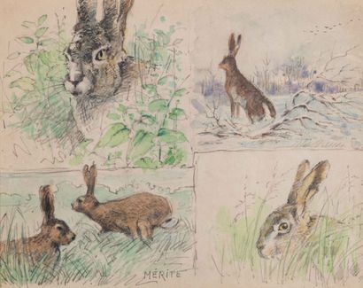 null Edouard-Paul MERITE (1897-1941) Two studies of hares Study of deer. Watercolors...