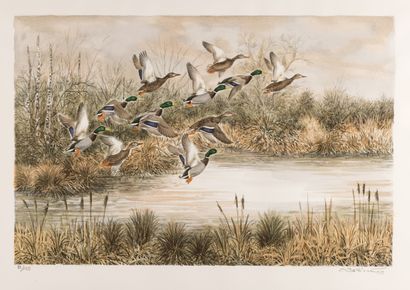 null 
Francis BÉRILLE (Né en 1945) L envol de canards Lithographie en couleur. Signée,...