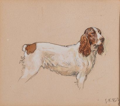 null 
Georges Frédéric RÖTIG (1873-1961) Dog of the pack Watercolor on paper. Signed...