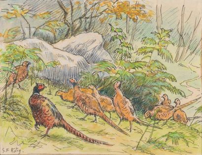 null 
Georges Frédéric RÖTIG (1873-1961) The Pheasants Watercolor and ink on paper....