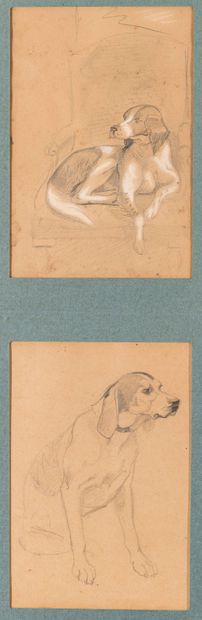 null Two studies of a dog in the same frame. Graphite and pastel highlights on paper....