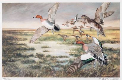 null 
Francis BÉRILLE (Né en 1945) Le vol de canards Six impressions en couleur....