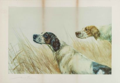 null Claus CARL (XXe siècle) Deux lithographies représentant des chiens de chasse....