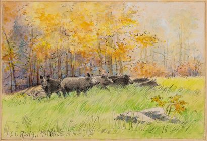 null 
Georges Frédéric RÖTIG (1873-1961) Company of wild boars Ink and watercolor...