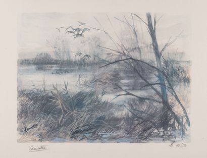 null LAUCOTTE (XXth century) Pond with ducks Lithograph in color. Signed in the plate...