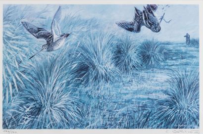 null 
Francis BÉRILLE (Born in 1945 ) The flight of ducks Six color prints. Signed,...