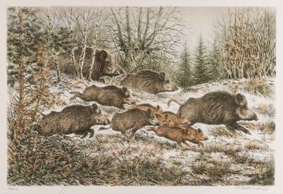 null Company of wild boars Lithograph in color. Signed, dated 1989 lower right and...