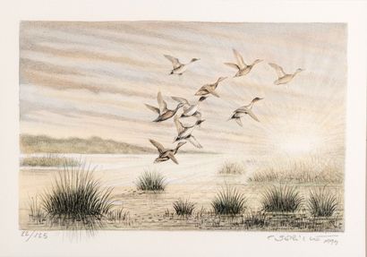 null 
Francis BÉRILLE (Né en 1945) L envol des canards Lithographie en couleur. Signée...