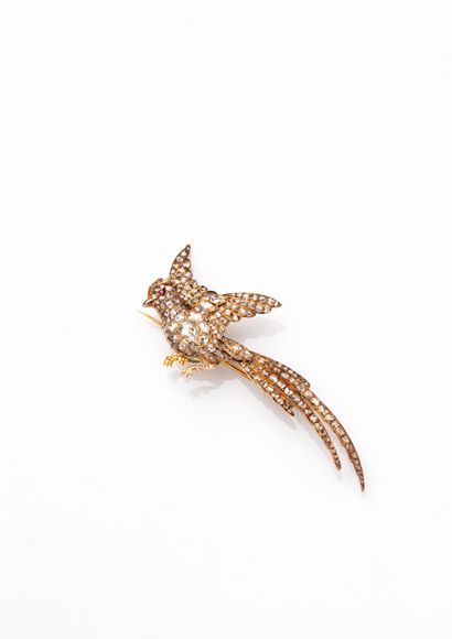 null 21 Important bird brooch in 18K (750) yellow gold and silver (800), the plumage...