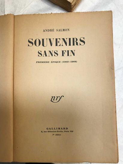 null 3 volumes : André Salmon, Memories without end (Tome 1 to 3)