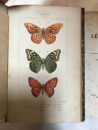 null 
13 volumes : Histoire naturelles des Lépidoptères Paris 1835 - X De MAISTRE...