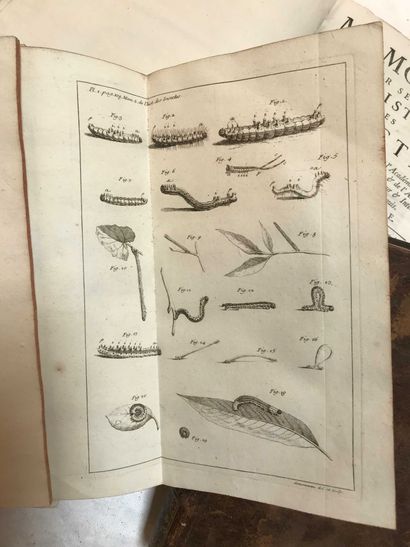null M de REAUMUR. Mémoires pour servir à l'histoire des insectes, Paris 1734 to...