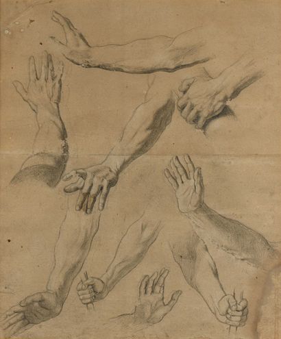 null 5 Ecole du XIXe siècle Etude de main et de jambes Deux dessins au fusain sur...