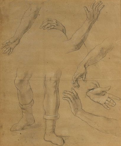 null 5 Ecole du XIXe siècle Etude de main et de jambes Deux dessins au fusain sur...