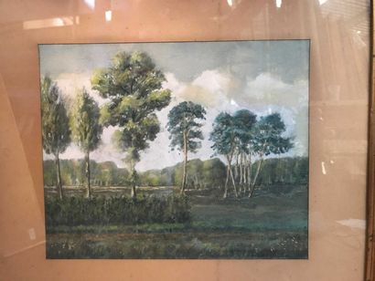 null Ecole début du XXè siècle Paysage aux arbres Aquarelle 21 x 26 cm
