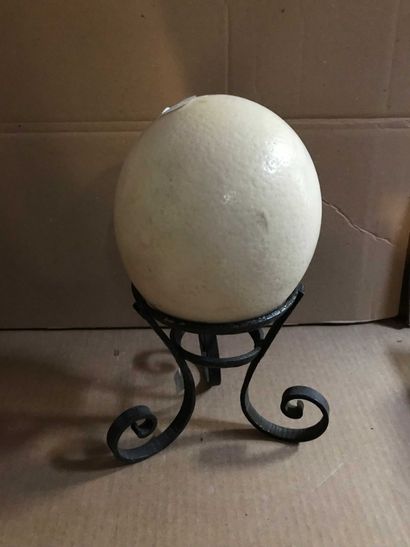 null ostrich egg and a support