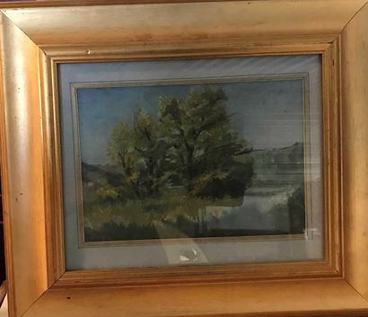 null School early twentieth century Landscape with trees Oil on cardboard, dated...