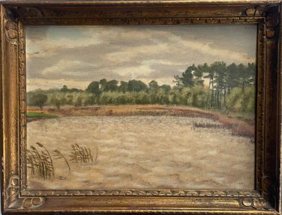 null Charles LACOSTE (1870-1959)
The swamp 
Mixed technique on cardboard. 
Signed...