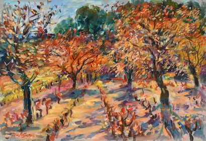 null Max AGOSTINI (1914-1997) Les vignes sous les arbres en automne Huile sur toile....