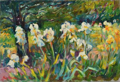 null Max AGOSTINI (1914-1997) Les iris blancs Huile sur toile. Signée en bas à gauche....