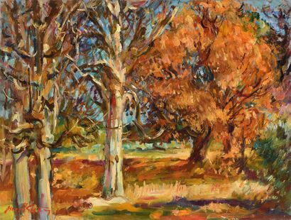null Max AGOSTINI (1914-1997) Trees in Autumn Oil on canvas Signed lower left. 46...