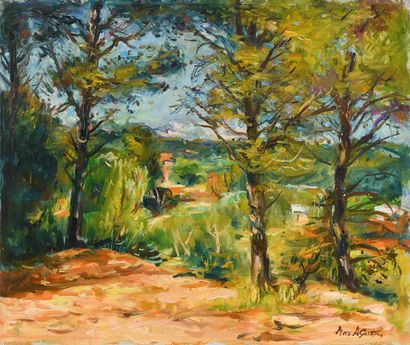 null Max AGOSTINI (1914-1997) Les pins en Provence Huile sur toile Signée en bas...