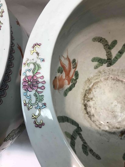 null Paire de vasques en porcelaine à décor de fleurs oiseaux et insectes!,
Chine...