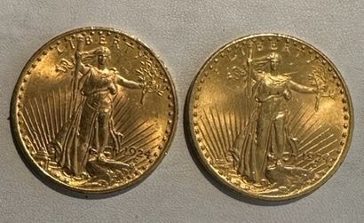 null 33 Two coins of 20 dollars gold 1924.