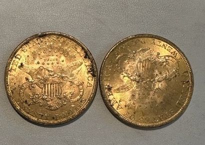 null 25 Two coins of 20 gold dollars 1900.