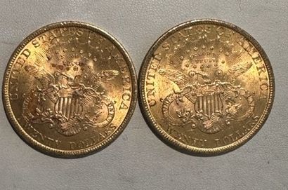 null 27 Deux pièces de 20 dollars or 1900.