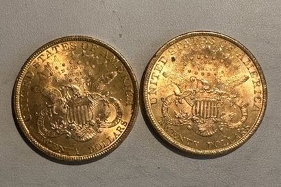 null 28 Deux pièces de 20 dollars or 1900.