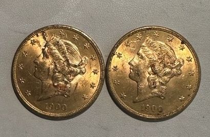 null 27 Deux pièces de 20 dollars or 1900.
