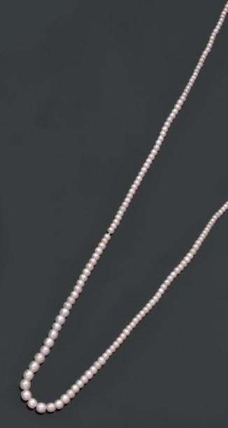 null Collier de perles fines (sans certificat), composé d'une chute de petites perles...