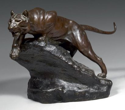 Clovis-Edmond MASSON (1838-1913) Tigre sur un rocher Epreuve en bronze patiné. Signé...