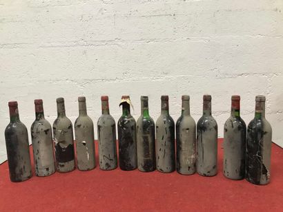 null Douze bouteilles vins divers: Château SIRAN, BRANE, TROTEVIEILLE, Château CHASSE...