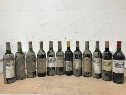 null Douze bouteilles vins divers: Château TERRE BLANCHE, LES HAUTS DE PONTET, SOUTARD...
